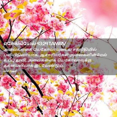 Picture 02 - எசேக்கியேல் 43:24 TAMIRV - அவைகளைக் - Bible Verse Picture