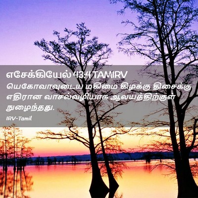 Picture 02 - எசேக்கியேல் 43:4 TAMIRV - யெகோவாவுடைய மகிமை - Bible Verse Picture