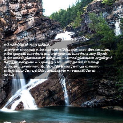 Picture 02 - எசேக்கியேல் 43:8 TAMIRV - அவர்கள் எனக்கும் - Bible Verse Picture