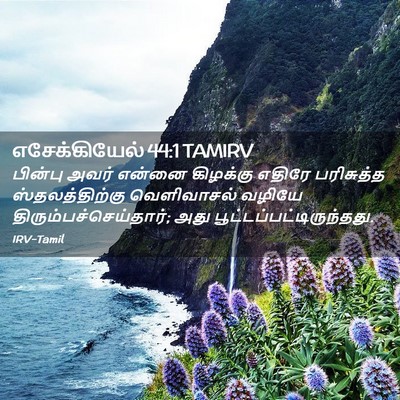 Picture 02 - எசேக்கியேல் 44:1 TAMIRV - பின்பு அவர் என்னை - Bible Verse Picture
