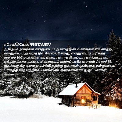 Picture 02 - எசேக்கியேல் 44:11 TAMIRV - ஆகிலும் அவர்கள் - Bible Verse Picture
