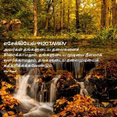 Picture 02 - எசேக்கியேல் 44:20 TAMIRV - அவர்கள் தங்களுடைய - Bible Verse Picture