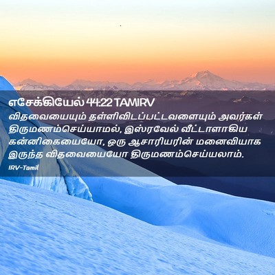 Picture 02 - எசேக்கியேல் 44:22 TAMIRV - விதவையையும் - Bible Verse Picture