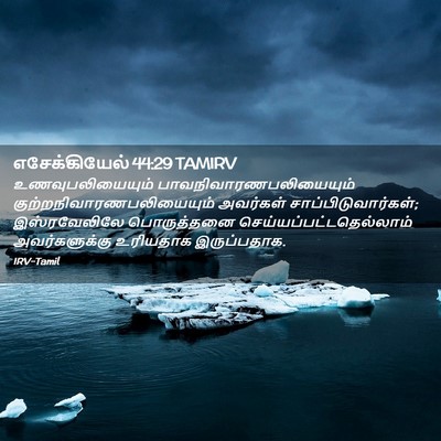 Picture 02 - எசேக்கியேல் 44:29 TAMIRV - உணவுபலியையும் - Bible Verse Picture