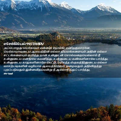 Picture 02 - எசேக்கியேல் 44:5 TAMIRV - அப்பொழுது யெகோவா - Bible Verse Picture