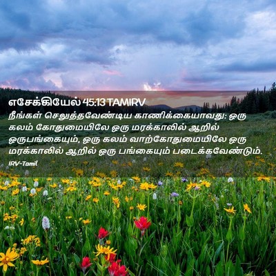 Picture 02 - எசேக்கியேல் 45:13 TAMIRV - நீங்கள் - Bible Verse Picture