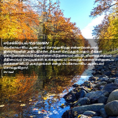 Picture 02 - எசேக்கியேல் 45:9 TAMIRV - யெகோவாகிய ஆண்டவர் - Bible Verse Picture