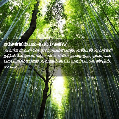 Picture 02 - எசேக்கியேல் 46:10 TAMIRV - அவர்கள் உள்ளே - Bible Verse Picture