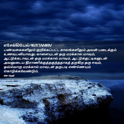 Picture 02 - எசேக்கியேல் 46:11 TAMIRV - பண்டிகைகளிலும் - Bible Verse Picture