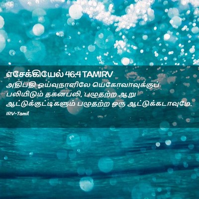 Picture 02 - எசேக்கியேல் 46:4 TAMIRV - அதிபதி - Bible Verse Picture