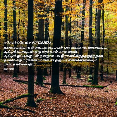 Picture 02 - எசேக்கியேல் 46:7 TAMIRV - உணவுபலியாக - Bible Verse Picture