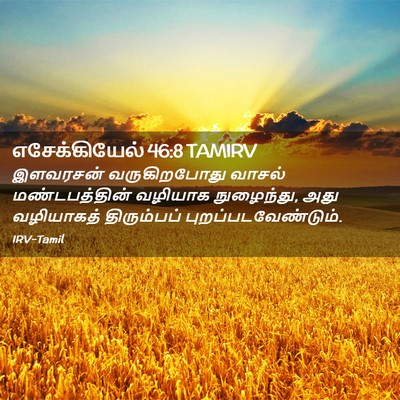 Picture 02 - எசேக்கியேல் 46:8 TAMIRV - இளவரசன் - Bible Verse Picture