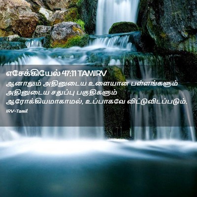 Picture 02 - எசேக்கியேல் 47:11 TAMIRV - ஆனாலும் அதினுடைய - Bible Verse Picture
