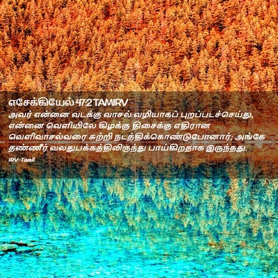Picture 02 - எசேக்கியேல் 47:2 TAMIRV - அவர் என்னை வடக்கு - Bible Verse Picture
