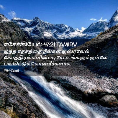 Picture 02 - எசேக்கியேல் 47:21 TAMIRV - இந்த தேசத்தை - Bible Verse Picture
