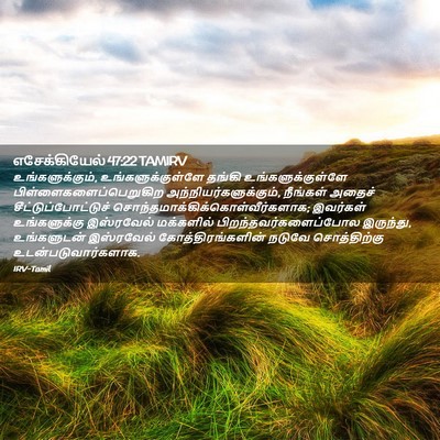 Picture 02 - எசேக்கியேல் 47:22 TAMIRV - உங்களுக்கும், - Bible Verse Picture