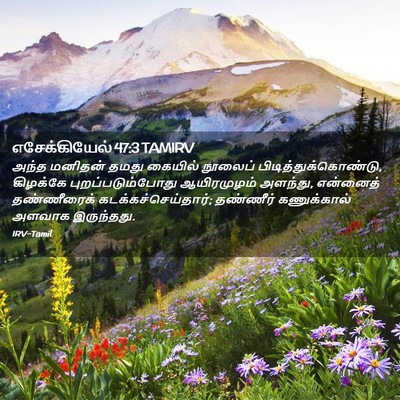 Picture 02 - எசேக்கியேல் 47:3 TAMIRV - அந்த மனிதன் தமது - Bible Verse Picture