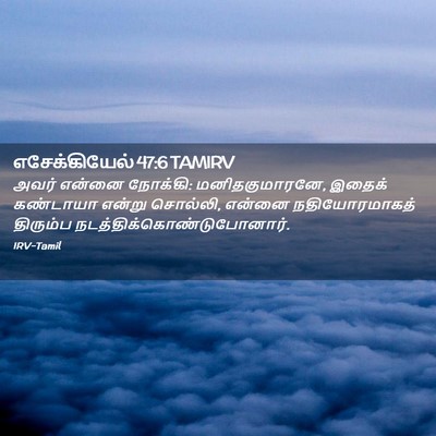 Picture 02 - எசேக்கியேல் 47:6 TAMIRV - அவர் என்னை நோக்கி: - Bible Verse Picture