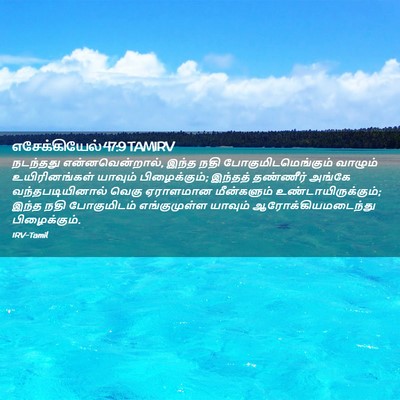 Picture 02 - எசேக்கியேல் 47:9 TAMIRV - நடந்தது - Bible Verse Picture