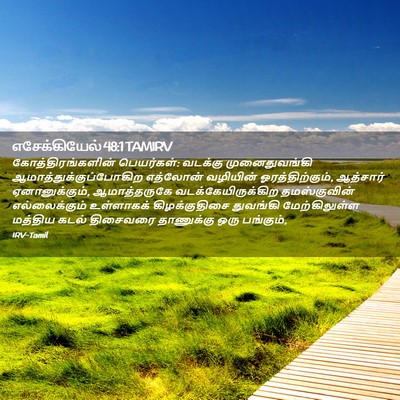 Picture 02 - எசேக்கியேல் 48:1 TAMIRV - கோத்திரங்களின் - Bible Verse Picture
