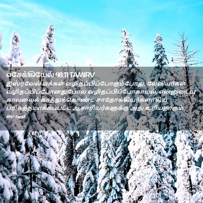 Picture 02 - எசேக்கியேல் 48:11 TAMIRV - இஸ்ரவேல் மக்கள் - Bible Verse Picture