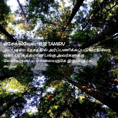 Picture 02 - எசேக்கியேல் 48:12 TAMIRV - அப்படியே - Bible Verse Picture