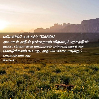 Picture 02 - எசேக்கியேல் 48:14 TAMIRV - அவர்கள் அதில் - Bible Verse Picture
