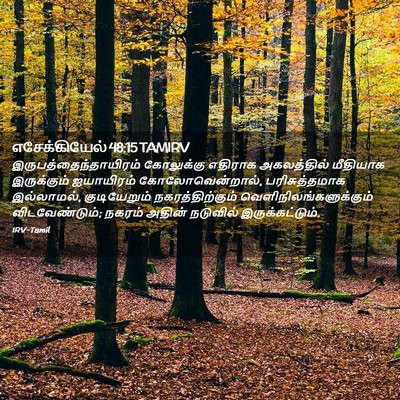 Picture 02 - எசேக்கியேல் 48:15 TAMIRV -  - Bible Verse Picture