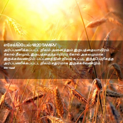 Picture 02 - எசேக்கியேல் 48:20 TAMIRV -  - Bible Verse Picture