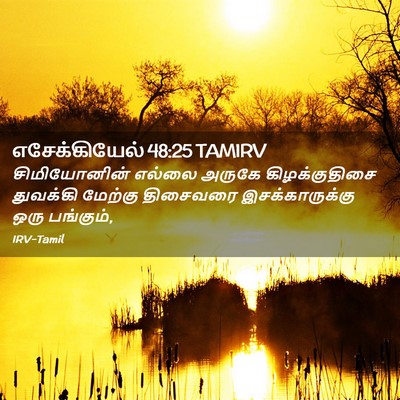 Picture 02 - எசேக்கியேல் 48:25 TAMIRV - சிமியோனின் எல்லை - Bible Verse Picture