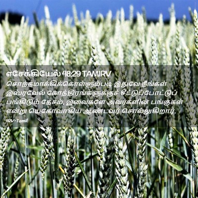 Picture 02 - எசேக்கியேல் 48:29 TAMIRV -  - Bible Verse Picture