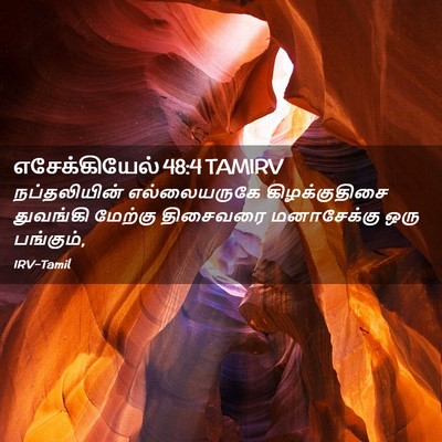 Picture 02 - எசேக்கியேல் 48:4 TAMIRV - நப்தலியின் - Bible Verse Picture