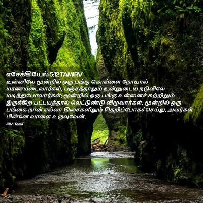 Picture 02 - எசேக்கியேல் 5:12 TAMIRV - உன்னிலே மூன்றில் - Bible Verse Picture