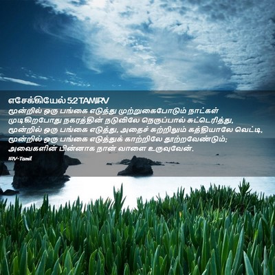 Picture 02 - எசேக்கியேல் 5:2 TAMIRV - மூன்றில் ஒரு - Bible Verse Picture
