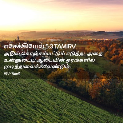 Picture 02 - எசேக்கியேல் 5:3 TAMIRV - அதில் - Bible Verse Picture
