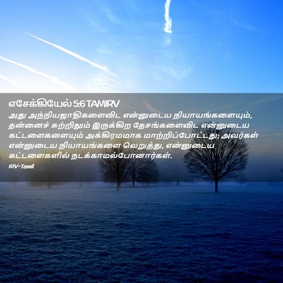 Picture 02 - எசேக்கியேல் 5:6 TAMIRV - அது - Bible Verse Picture