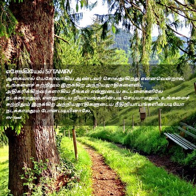 Picture 02 - எசேக்கியேல் 5:7 TAMIRV - ஆகையால் யெகோவாகிய - Bible Verse Picture