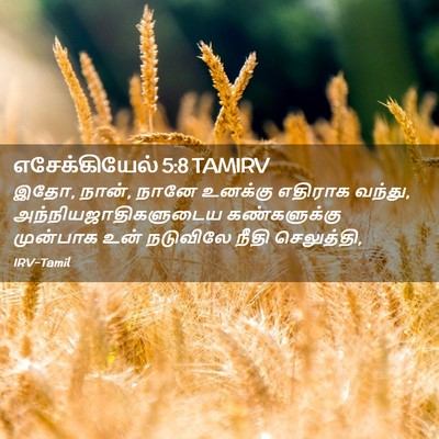 Picture 02 - எசேக்கியேல் 5:8 TAMIRV - இதோ, நான், நானே - Bible Verse Picture