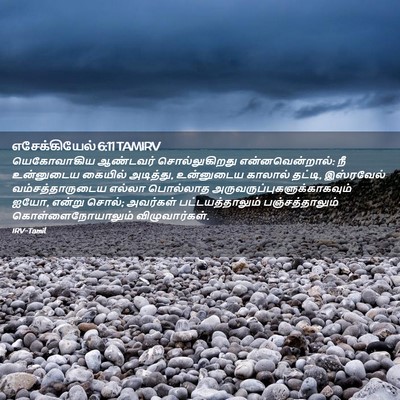 Picture 02 - எசேக்கியேல் 6:11 TAMIRV - யெகோவாகிய ஆண்டவர் - Bible Verse Picture