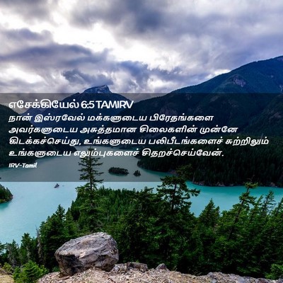 Picture 02 - எசேக்கியேல் 6:5 TAMIRV - நான் இஸ்ரவேல் - Bible Verse Picture