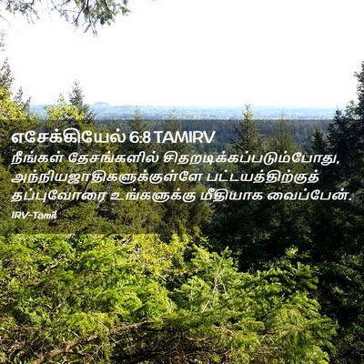 Picture 02 - எசேக்கியேல் 6:8 TAMIRV - நீங்கள் - Bible Verse Picture
