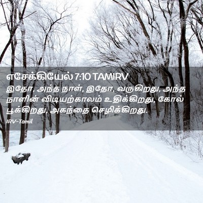 Picture 02 - எசேக்கியேல் 7:10 TAMIRV - இதோ, அந்த நாள், இதோ, - Bible Verse Picture
