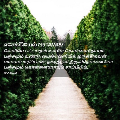 Picture 02 - எசேக்கியேல் 7:15 TAMIRV - வெளியே பட்டயமும் - Bible Verse Picture