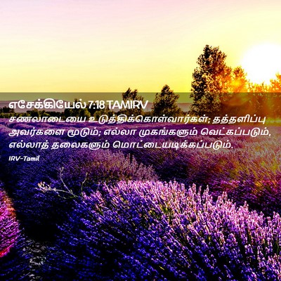 Picture 02 - எசேக்கியேல் 7:18 TAMIRV - சணலாடையை - Bible Verse Picture