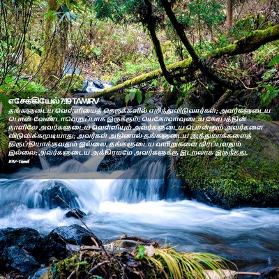 Picture 02 - எசேக்கியேல் 7:19 TAMIRV - தங்களுடைய - Bible Verse Picture