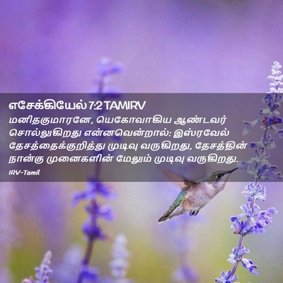 Picture 02 - எசேக்கியேல் 7:2 TAMIRV - மனிதகுமாரனே, - Bible Verse Picture