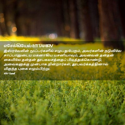 Picture 02 - எசேக்கியேல் 8:11 TAMIRV - இஸ்ரவேலின் - Bible Verse Picture