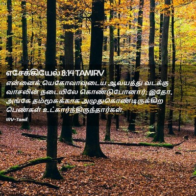 Picture 02 - எசேக்கியேல் 8:14 TAMIRV - என்னைக் - Bible Verse Picture