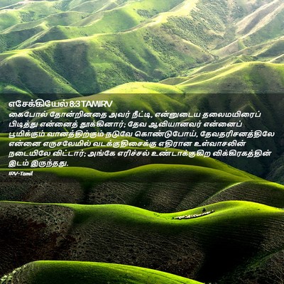 Picture 02 - எசேக்கியேல் 8:3 TAMIRV - கைபோல் தோன்றினதை - Bible Verse Picture