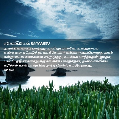 Picture 02 - எசேக்கியேல் 8:5 TAMIRV - அவர் என்னைப் - Bible Verse Picture